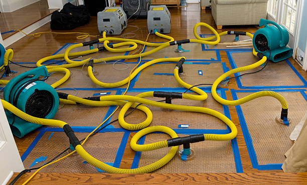 Professional Water Damage Repair technician working in Panama City Beach, FL